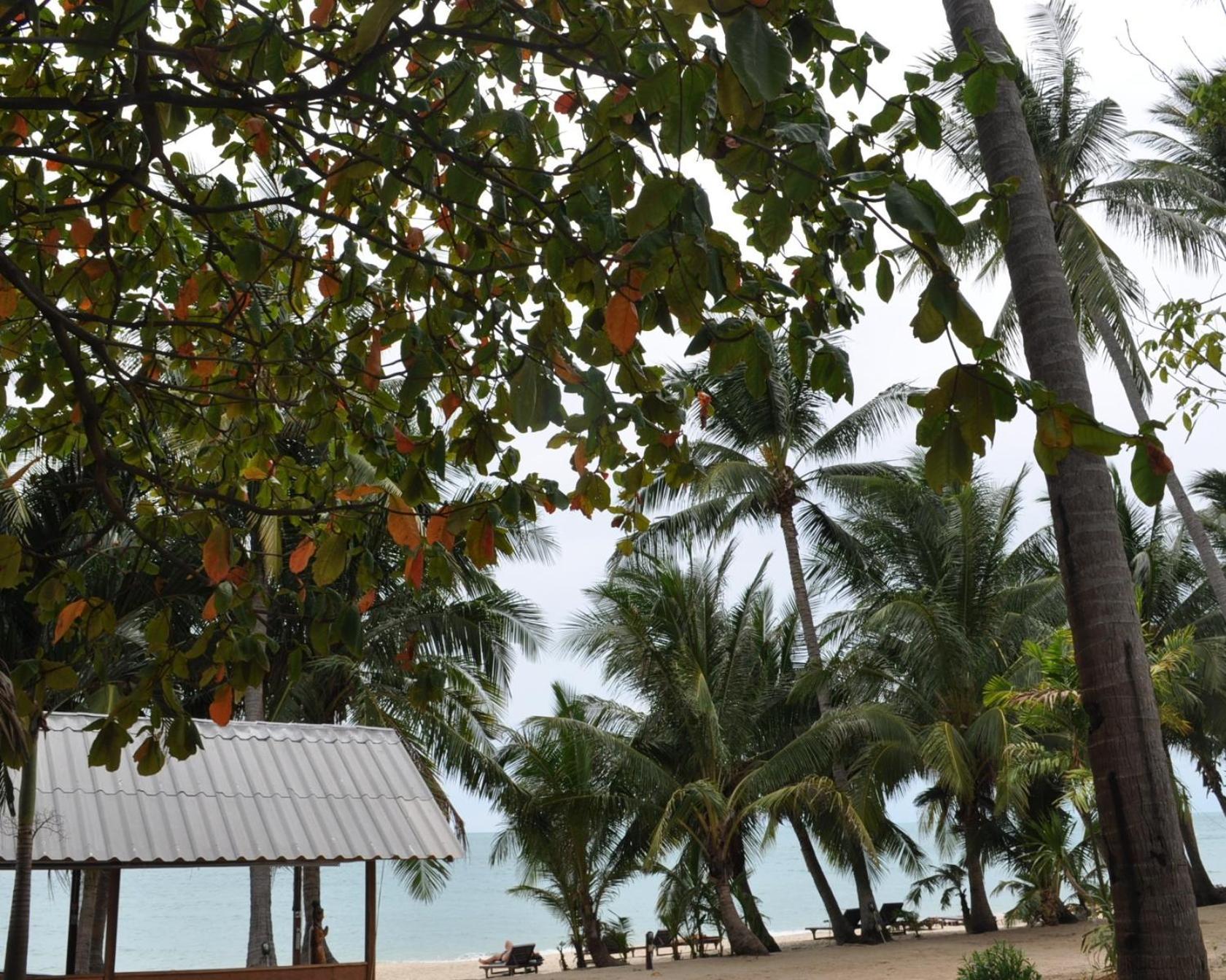Astrococo Beach Resort By Coconut Beach Ламаи-Бич Экстерьер фото